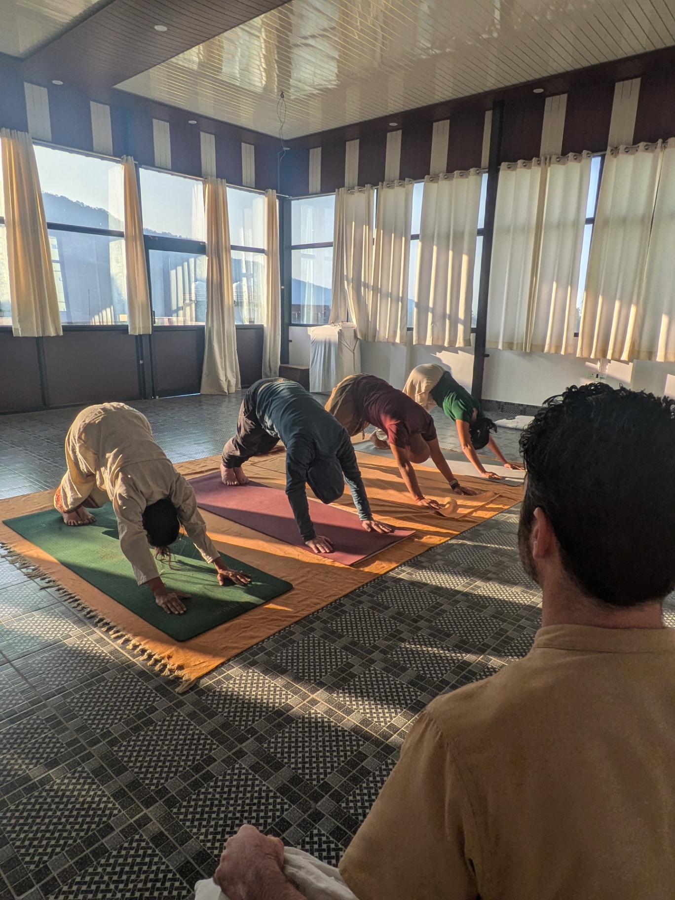 Students in downward-facing posture in a sunlit hall